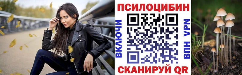 Псилоцибиновые грибы Cubensis  блэк спрут ONION  Шлиссельбург  купить наркотики сайты 